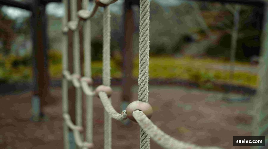 zoty中欧官方网站👟潮动全场，装备升级你的运动 DNA！🎁